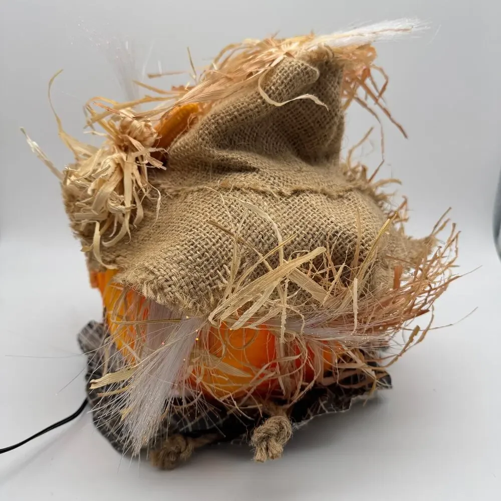 Pumpkin Hollow Fiber Optic Scarecrow Halloween Decor 11